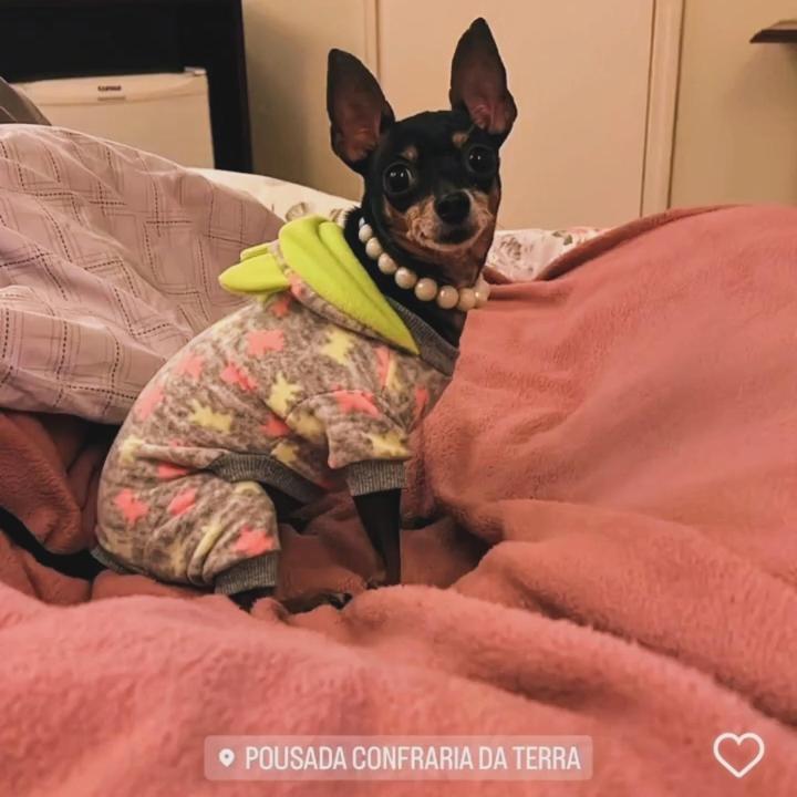 Pousada Confraria Da Terra Campos do Jordão Kültér fotó