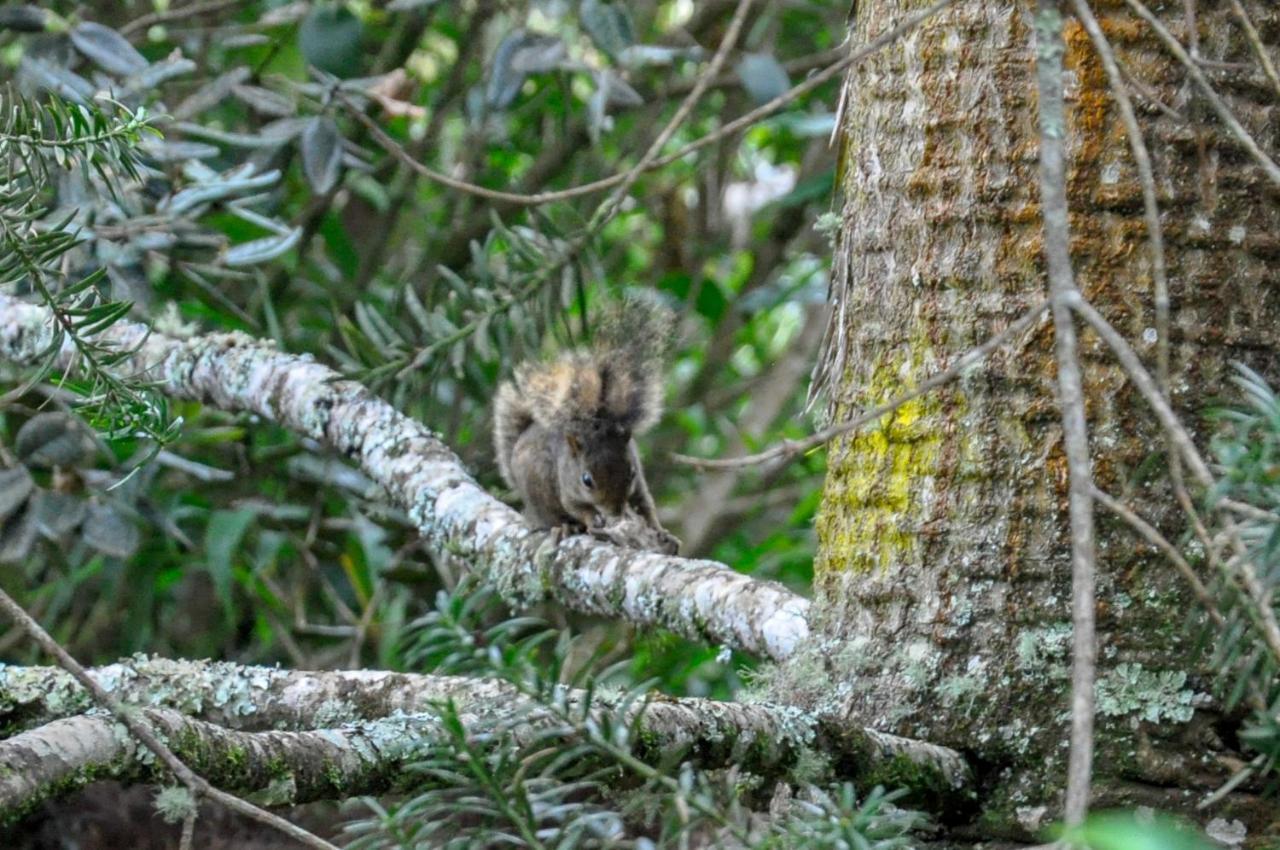 Pousada Confraria Da Terra Campos do Jordão Kültér fotó